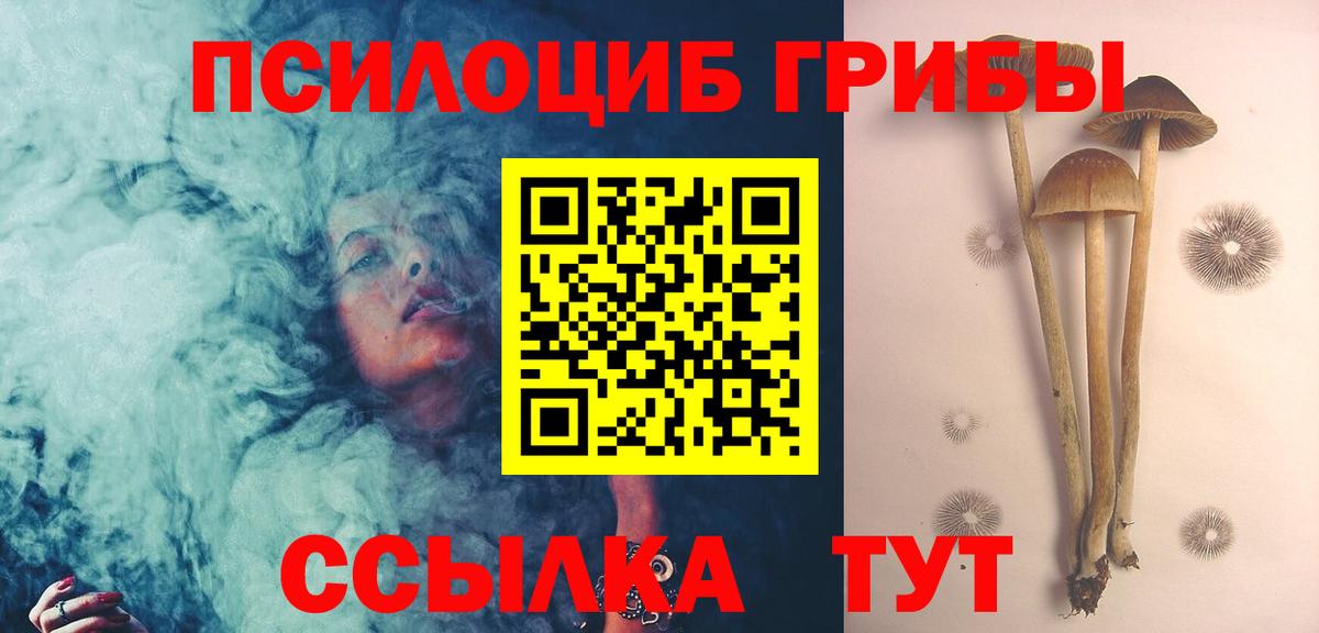 Истра  Псилоцибиновые грибы мицелий  Вход с VPN 