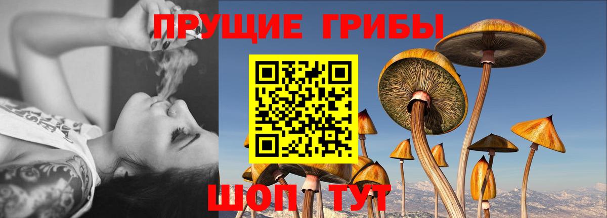 Галлюциногенные грибы мицелий Истра